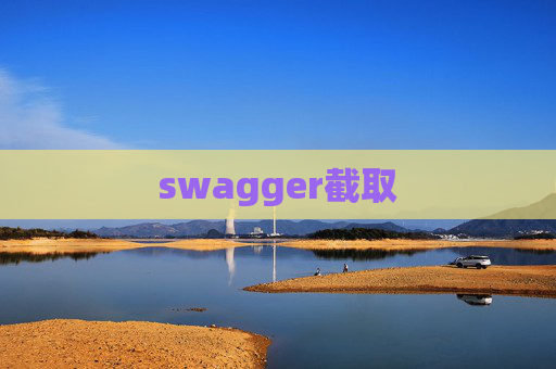 swagger截取